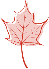 Pink Maple Leaf