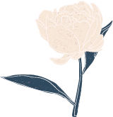 Light Peony with Stem