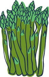 Asparagus Bunch